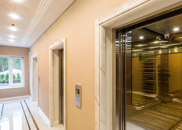 King - Size! * Odesa